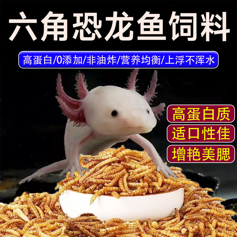 六角恐龙鱼饲料高蛋白面包虫干东方蝾螈观赏鱼食娃娃鱼上浮增色粮