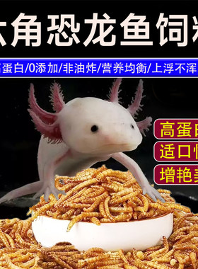 六角恐龙鱼饲料高蛋白面包虫
