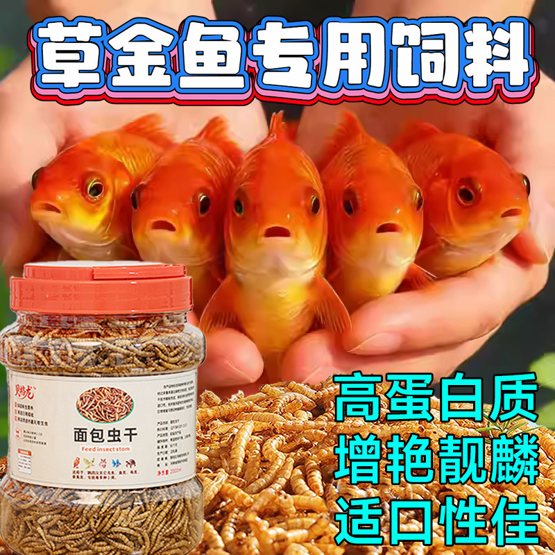 草金鱼锦鲤专用鱼饲料观赏鱼食物高钙家用鱼食料高蛋白上浮型鱼粮