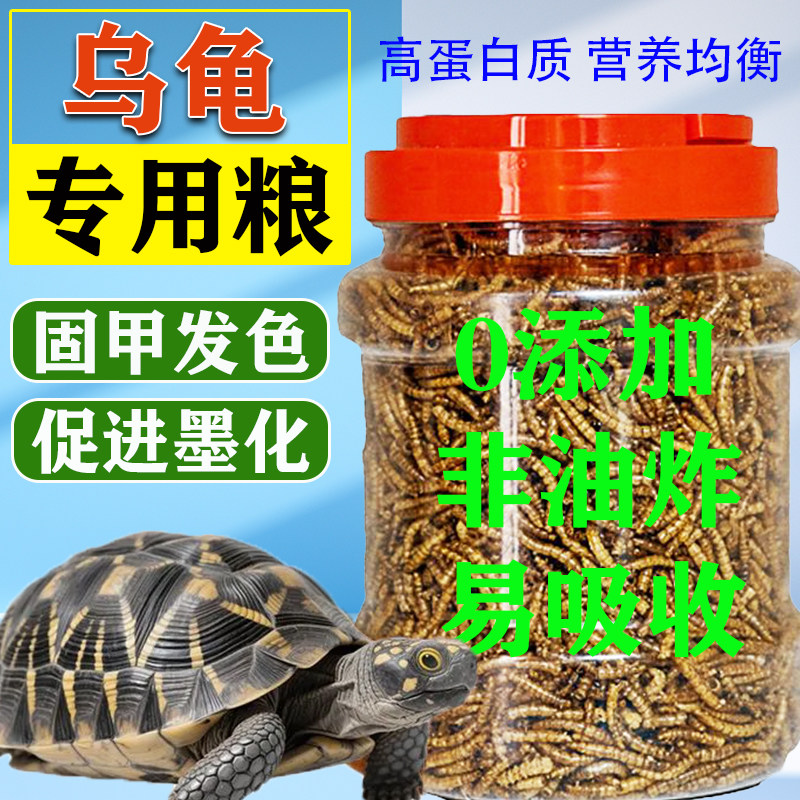 小幼龟巴西龟草龟中华龟食面包虫