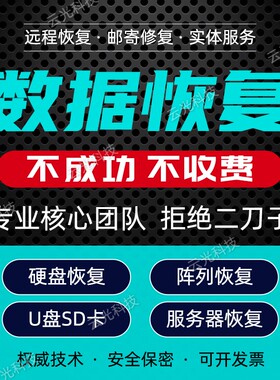 数据恢复照片视频内存卡SD卡