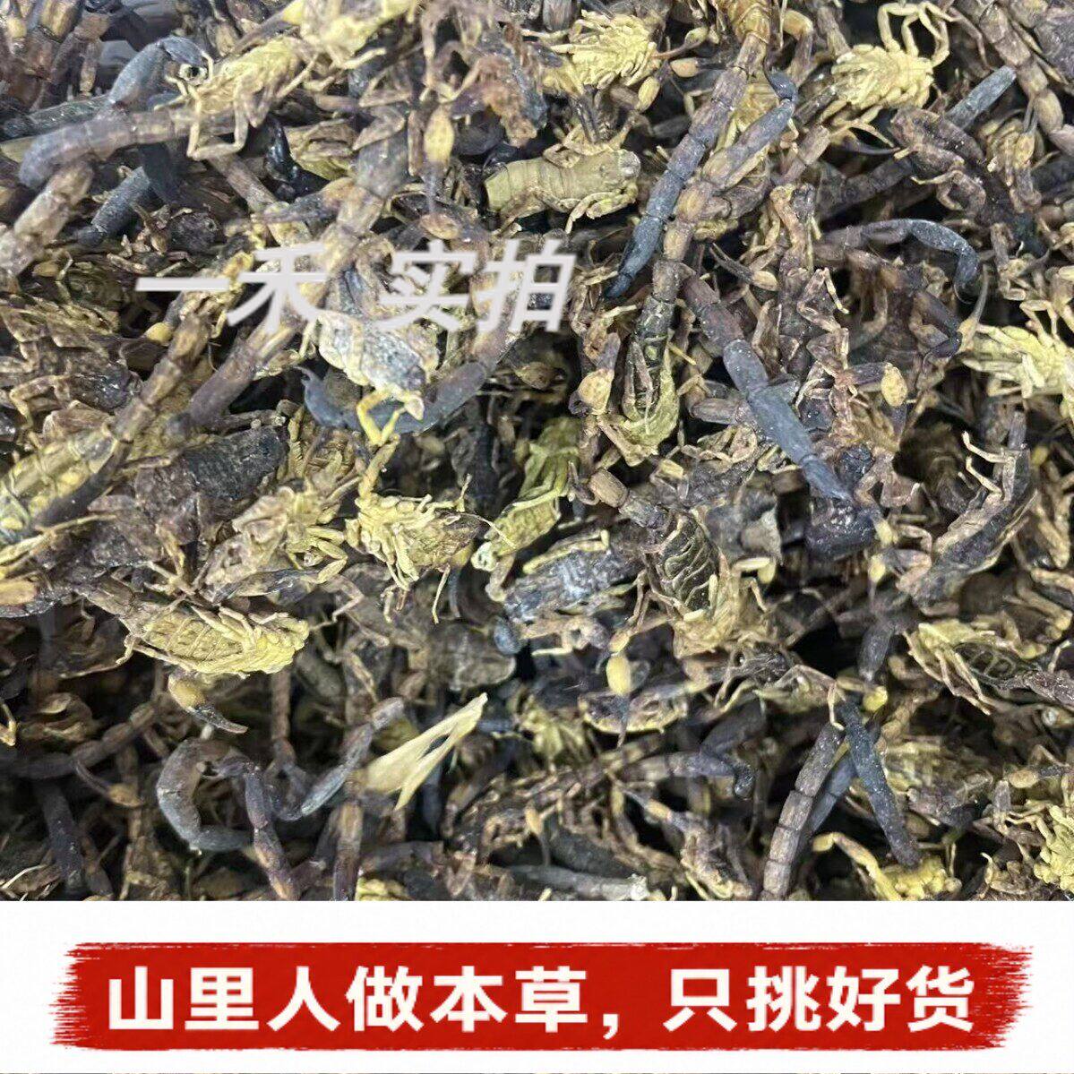 正宗清水全蝎】干货精选十足全干蝎子整条无盐水洗全蝎粉钳蝎250g