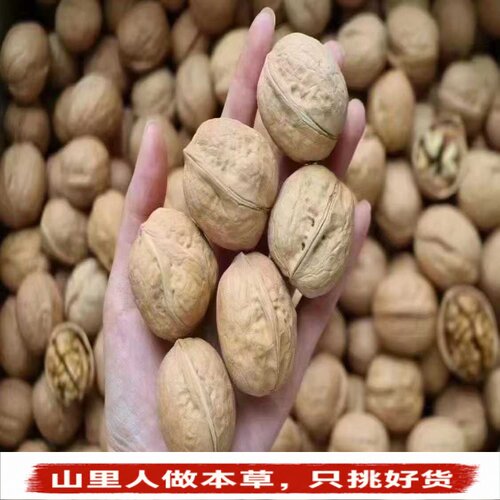 新疆185纸皮核桃手剥炭烤