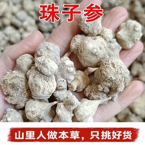 西藏野生珠子参中药材