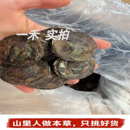 Tea古茶千金方】正品千金方熬夜调理养生茶女网红直播推荐便携茶