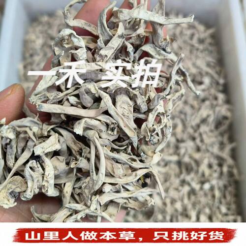云南丽江高山野生白雪茶地茶250g