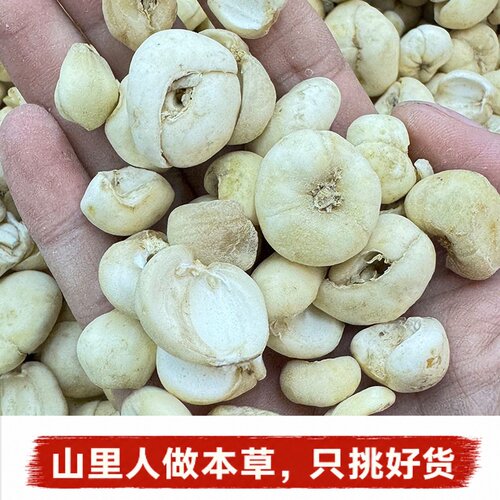 正宗天然无熏硫无添加浙贝母