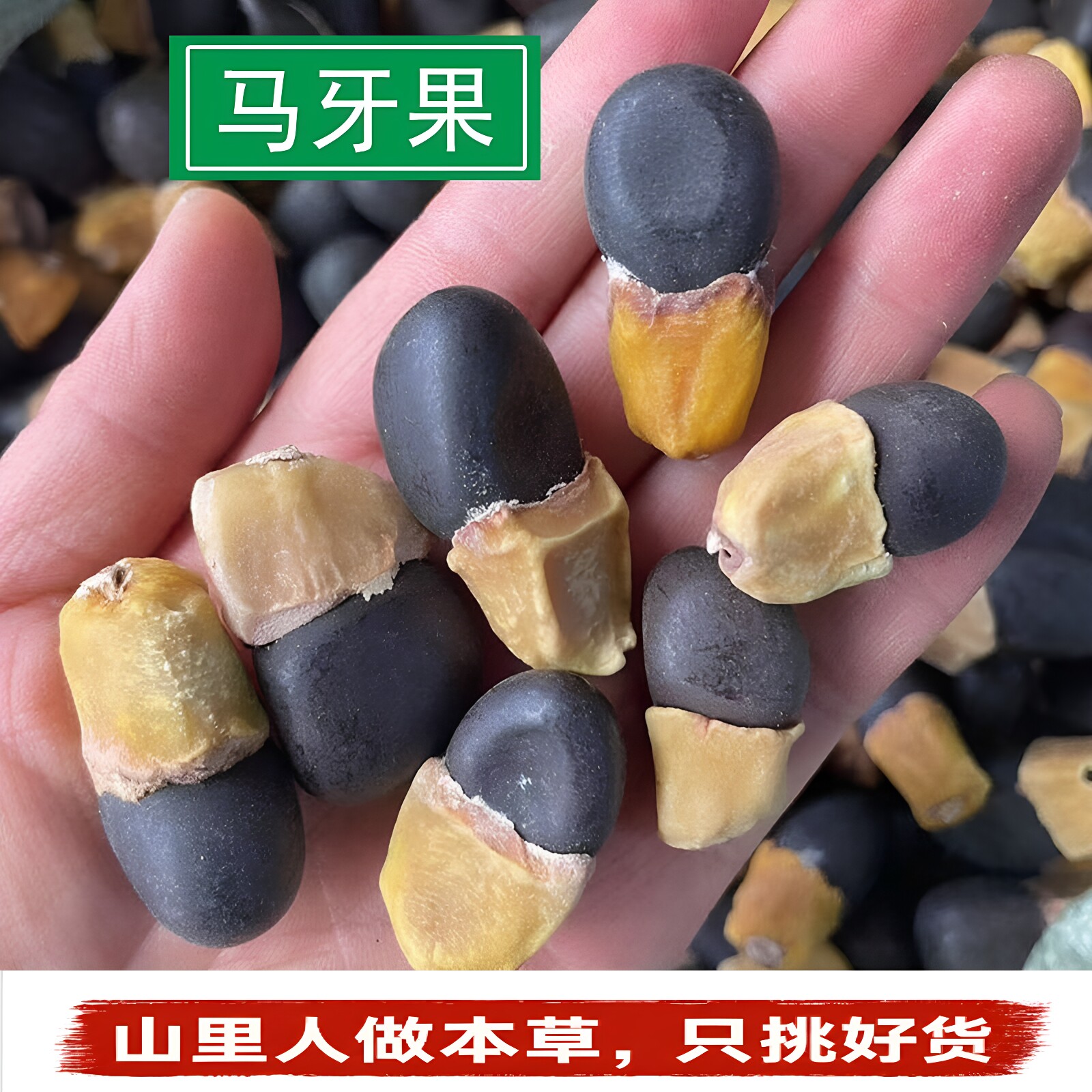 缅茄马牙果】玛牙果阴阳果雕刻印章佛珠菩提子手串手持马牙黄腊果