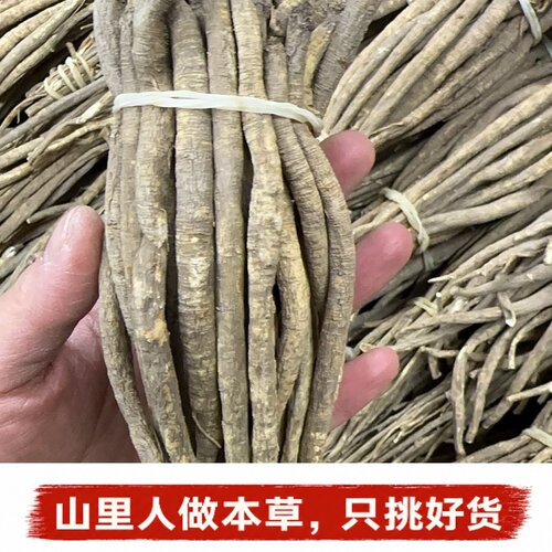 云南高原深山独角甜当归