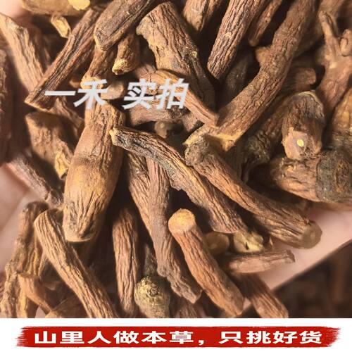 野生特级无硫蒲公英根茶干货花草