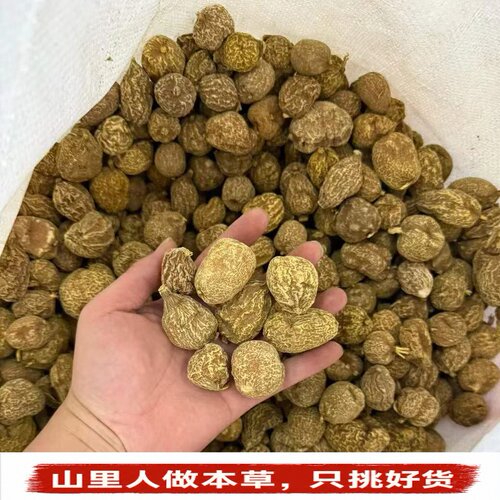云南野生地苦胆金果榄干货250g