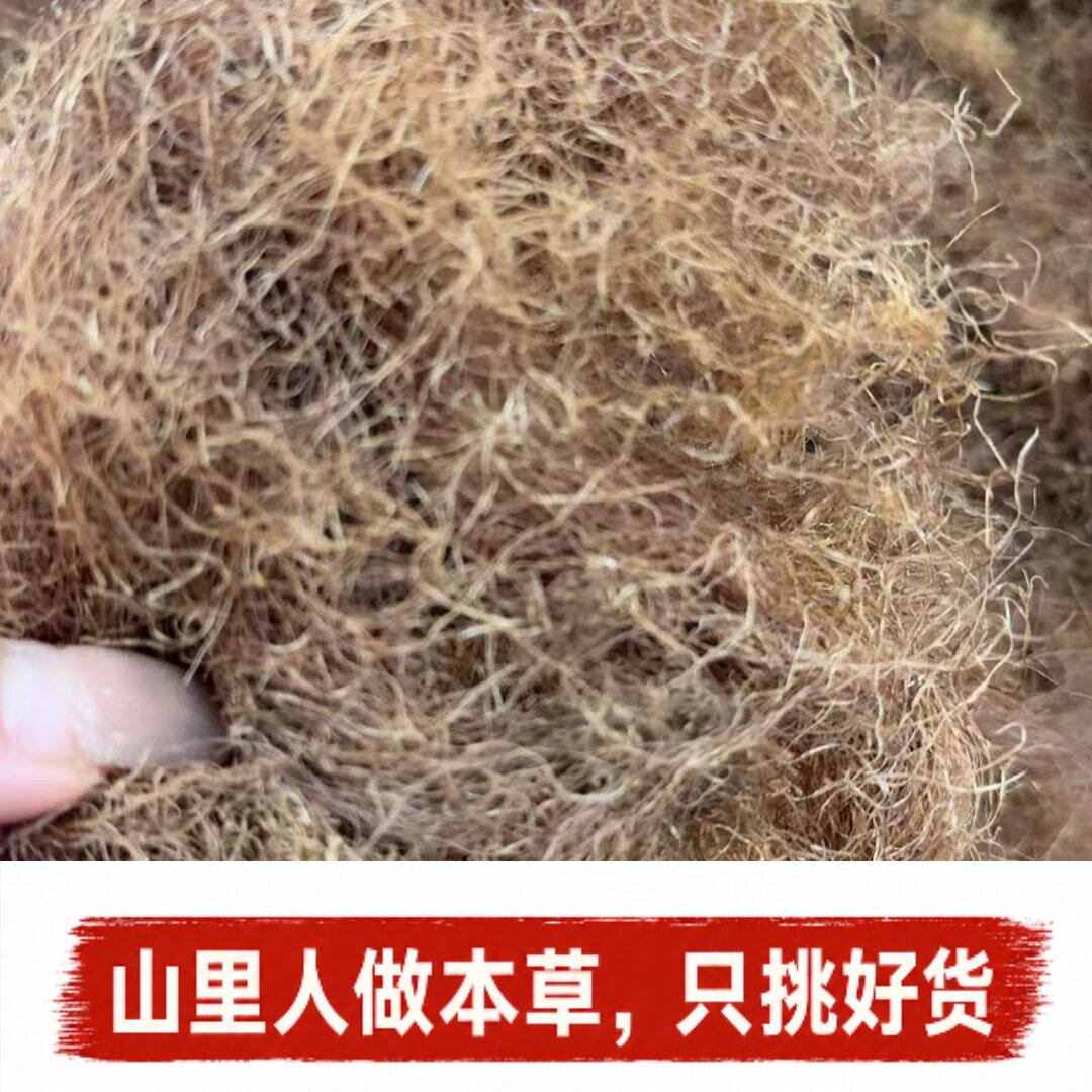 干玉米须】茶农家玉米须中药材龙须茶粟米须包谷须苞米帽茶泡水