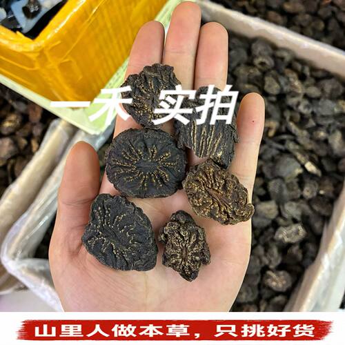 阿拉善野生九蒸肉苁蓉切片泡酒
