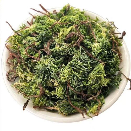 回心草茴心草铁脚一把伞中药材