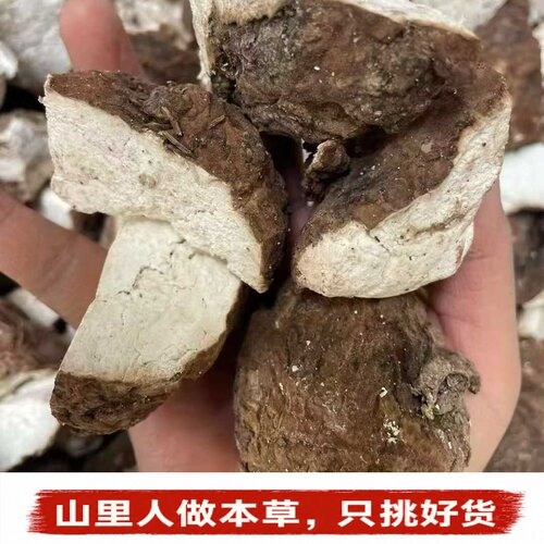 精选带皮茯苓块茯神块中药材