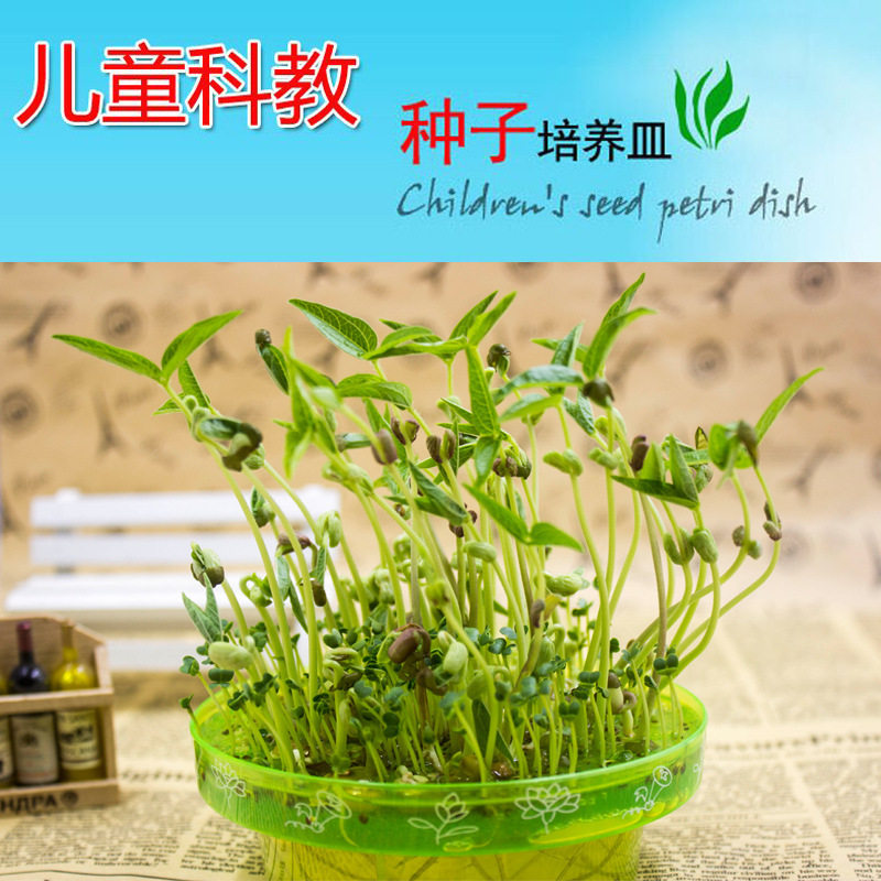 儿童diy手工科学实验益智科学小制作幼教 植物培养皿科教玩具
