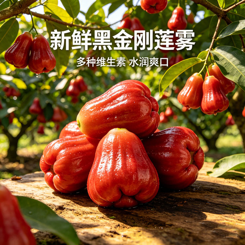 黑金刚莲雾富含维C膳食营养足