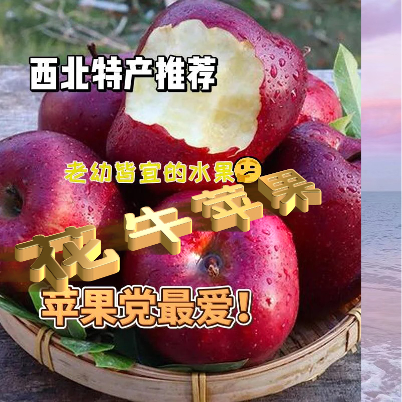 【果蟹集】花牛苹果大山深处