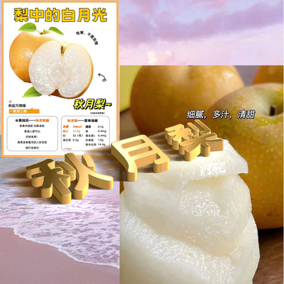 秋月梨不仅含水量比一般梨