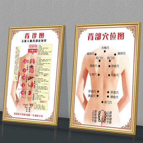 背诊穴位五脏六腑背部反射图海板
