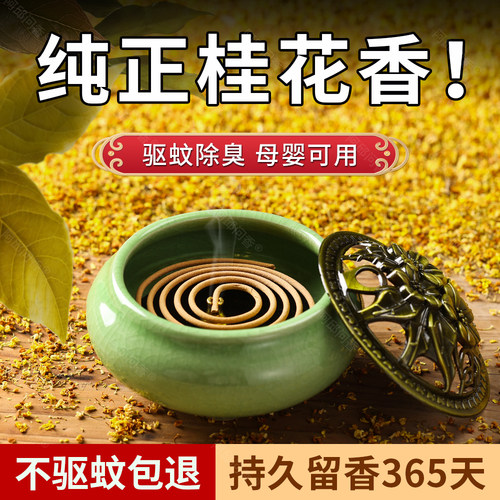 【不满意退全款】盘香桂花香满屋