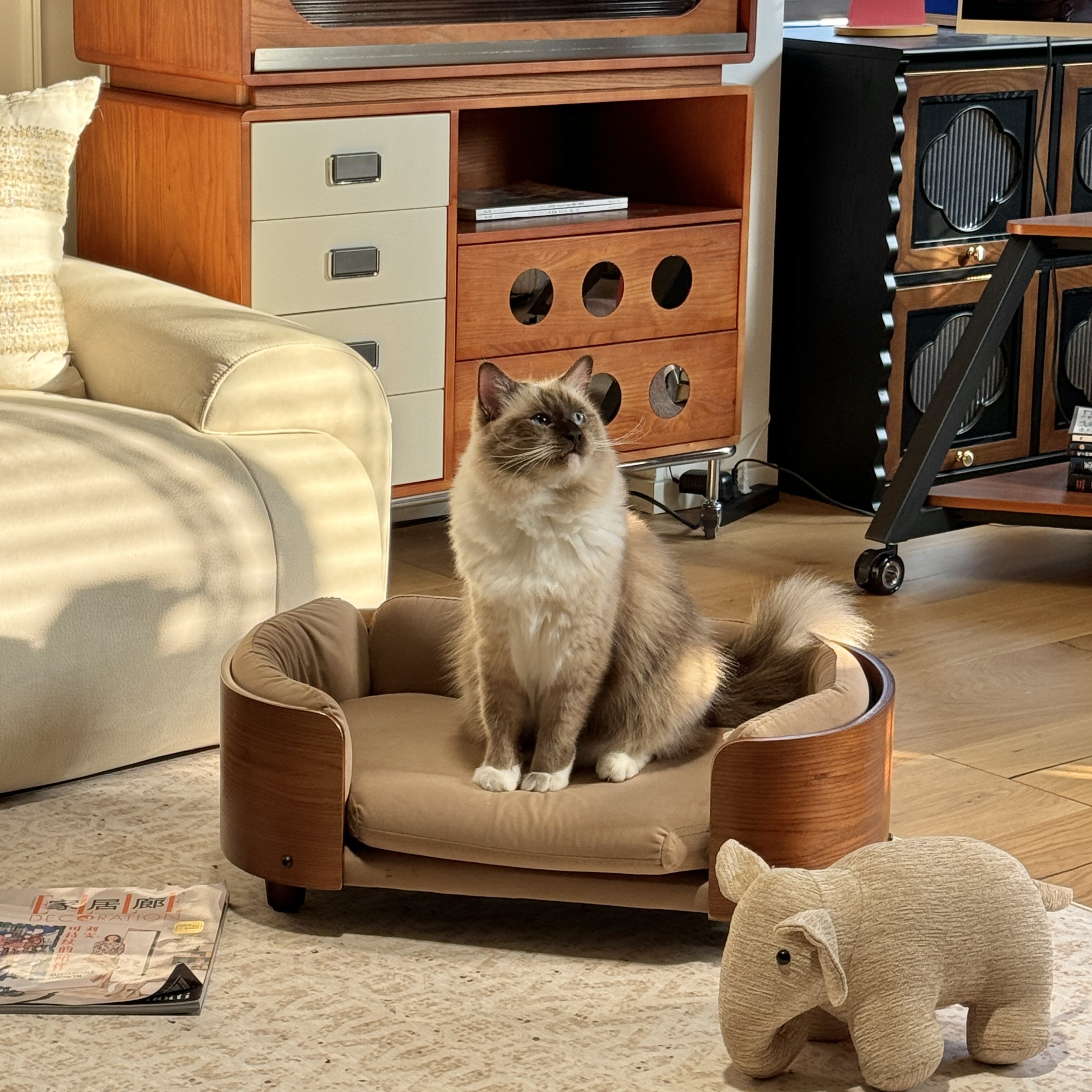 a生猫窝狗窝实木猫床宠物沙发秋冬季宠物窝小型犬可拆洗四季通用,宠物/宠物食品及用品,猫窝/屋/帐篷/沙发,淘宝优惠券,粉丝福利购,淘宝优惠卷