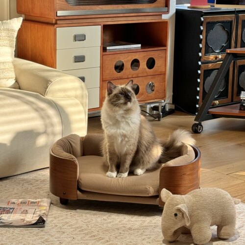a生猫窝狗窝实木猫床宠物沙发窝