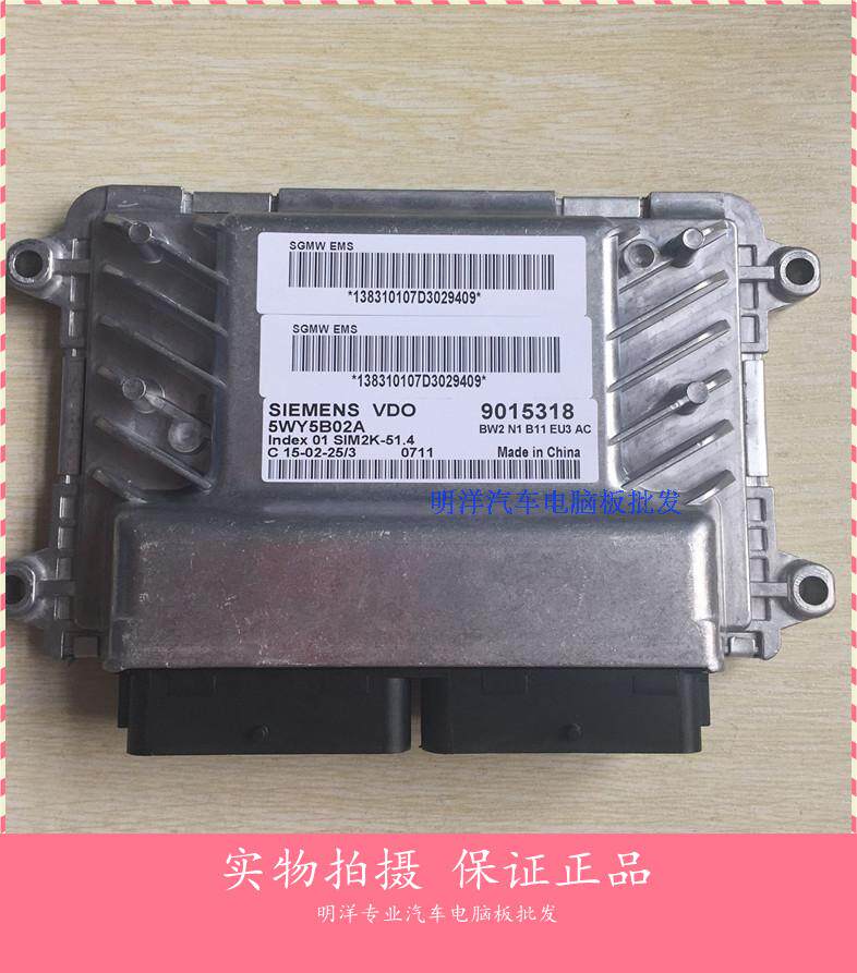 厂家实拍五菱之光汽车发动机电脑板/西门子/5WY5B02A  9015318