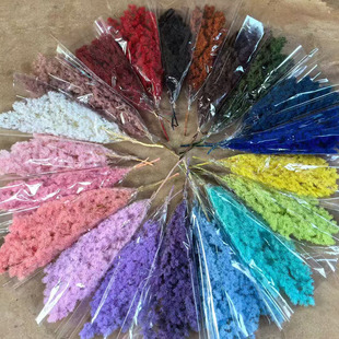 蓬莱松干花花束配材居家摆件天然永生DIY花盒花店花束包花配花