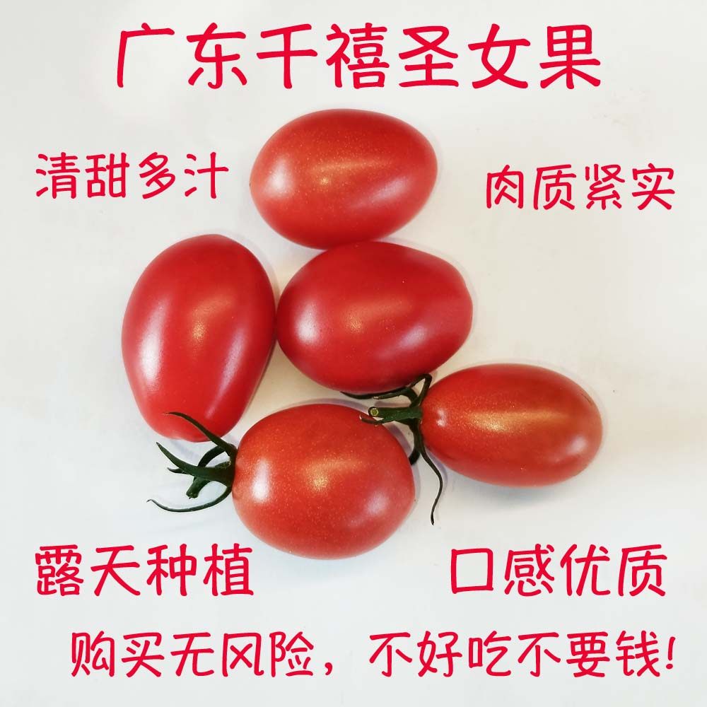 广东农家新鲜小番茄正宗千禧圣女果樱桃西红柿子小颗清甜应季水果,水产肉类/新鲜蔬果/熟食,番茄,淘宝优惠券,粉丝福利购,淘宝优惠卷