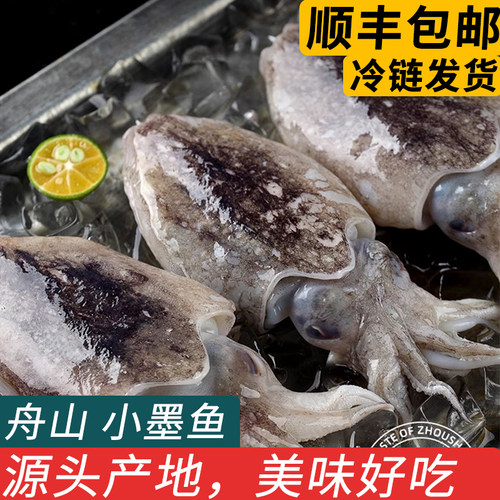 舟山特产东海小墨鱼海捕新鲜冷冻乌贼目鱼整只墨鱼仔花枝海鲜水产