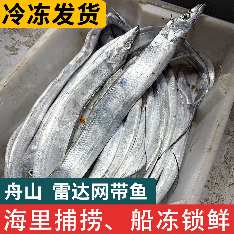 舟山雷达网小眼睛油带鱼新鲜冷冻东海整条大带鱼非刀鱼商用水产品