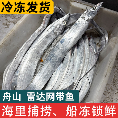 舟山雷达网小眼睛油带鱼新鲜冷冻