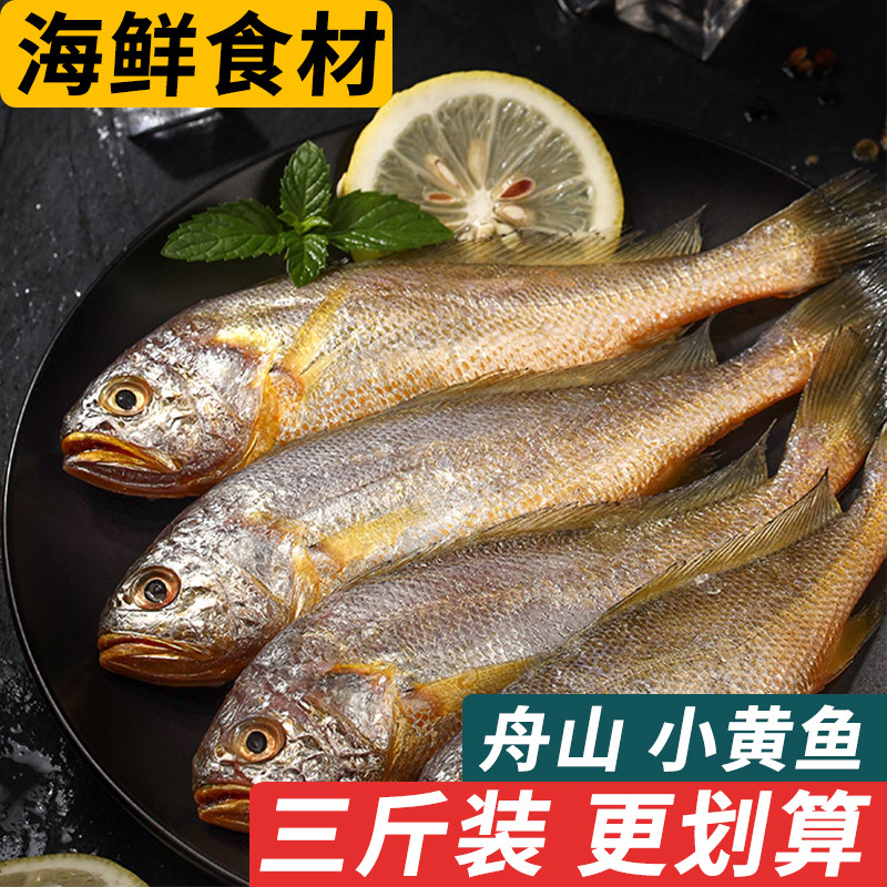 小黄花鱼舟山特产新鲜冷冻烧烤小黄鱼生鲜海鱼海鲜海鱼水产品商用
