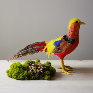 仿真红腹锦鸡模型羽毛动物摆件鸟类藏雪鸡越南斗鸡景观工艺品装饰