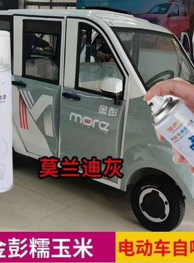金彭蚁客电动车蓝色粉色专用车漆白色自喷漆冰沙绿色划痕修补漆