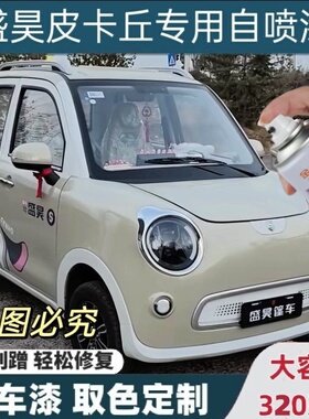 盛昊皮卡丘电动四轮车竹林灰补漆绿色自喷漆汽车划痕修复防锈车漆