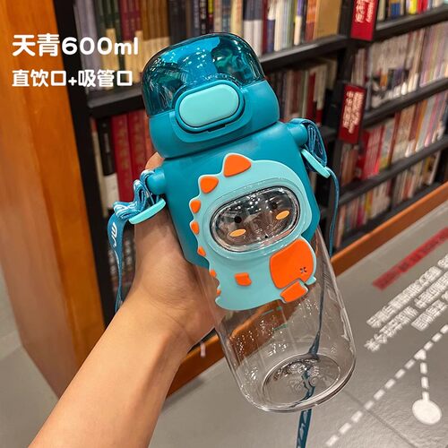 水杯女夏季吸管杯直饮杯子