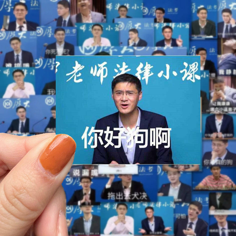55张罗翔表情包贴纸网红法外狂徒张三恶搞沙雕趣味个性创意防水贴