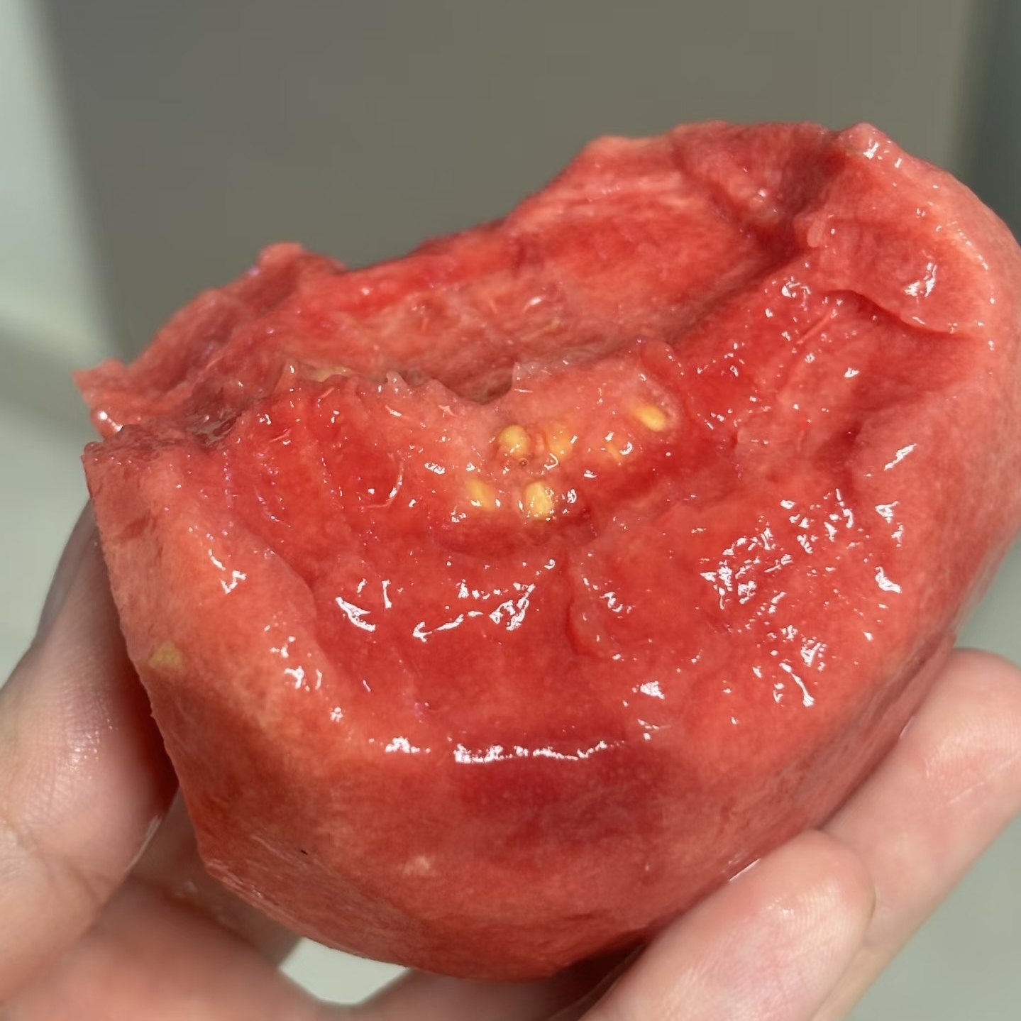 福建漳州自种软糯红心芭乐软心番石榴草莓奶油鸡屎果新鲜水果芭乐