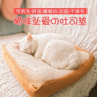 Кошка снабжает подушку для собак, выпивая, мыть летние тосты, гнездо, гнездо, хлеб, кошка кошка кошка кошка кошка