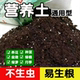 养花专用种菜土壤优质花土通用型透气君子兰有机育苗营养土