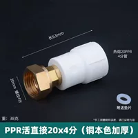 PPR Live Connection 20*4 балла (сгущенная медная шляпа натурального цвета)