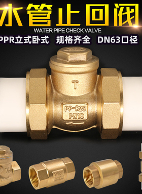 PPR水管止回阀4分6分1寸横式双活接卧式逆止阀内外丝立式单向阀