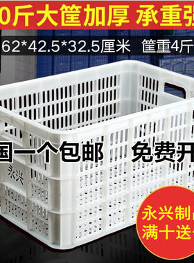 白色周转框子塑料蓝子