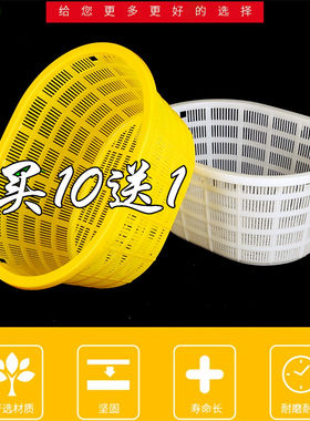 塑料箩筐椭圆形周转篓