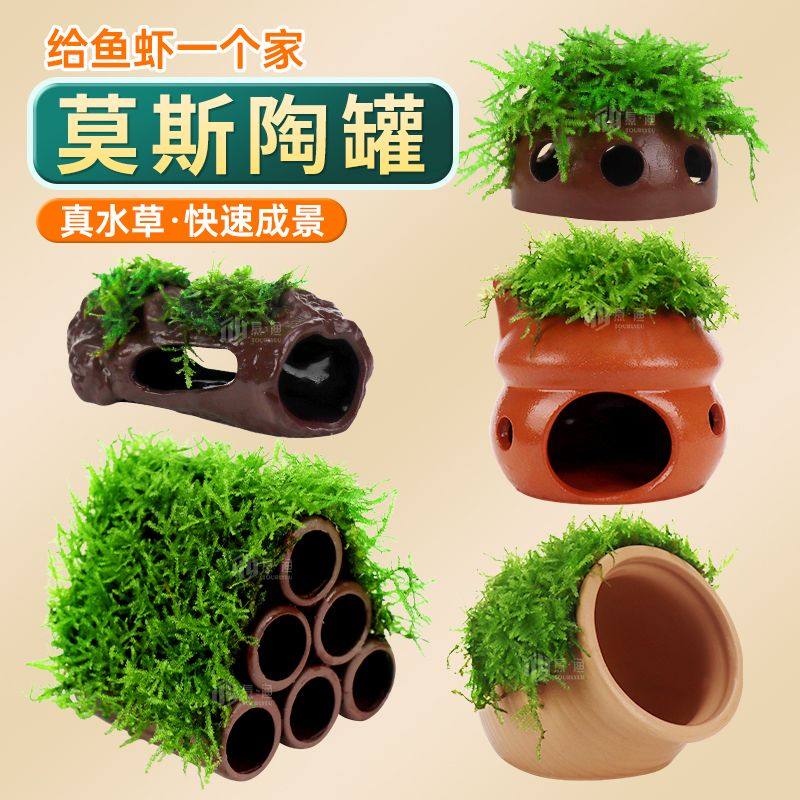 鱼缸莫斯陶罐水草造景真植物鱼虾躲避罐虾屋小摆件小鱼繁殖躲避屋,鲜花速递/花卉仿真/绿植园艺,海藻球,淘宝优惠券,粉丝福利购,淘宝优惠卷
