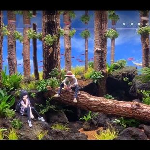 鱼缸沉木森林树干水草造景红杉木雨林缸装饰乌龟缸杜鹃根香槟树枝