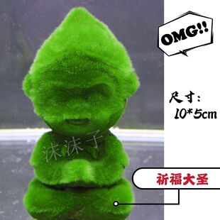 短绒藻长绒藻绿藻种藻石绿藻爆藻鱼缸莫斯水草种子绿地毯净化绿苔