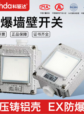防爆墙壁开关 熔断路器86型明装单开双开10A20A厂房车间220V380V